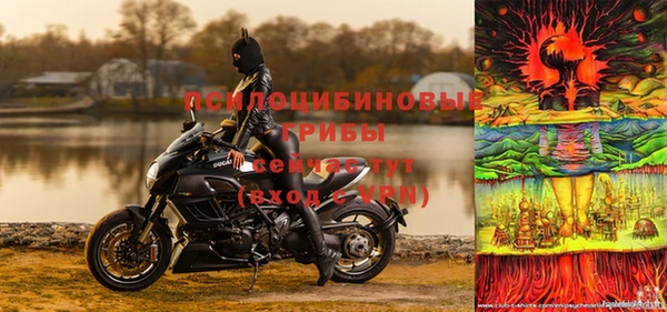дживик Нефтекумск
