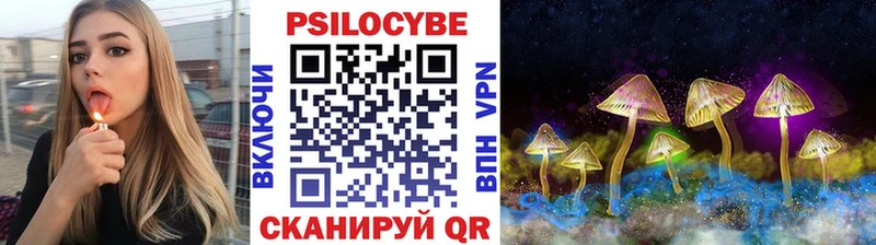 Галлюциногенные грибы мицелий  Сураж 
